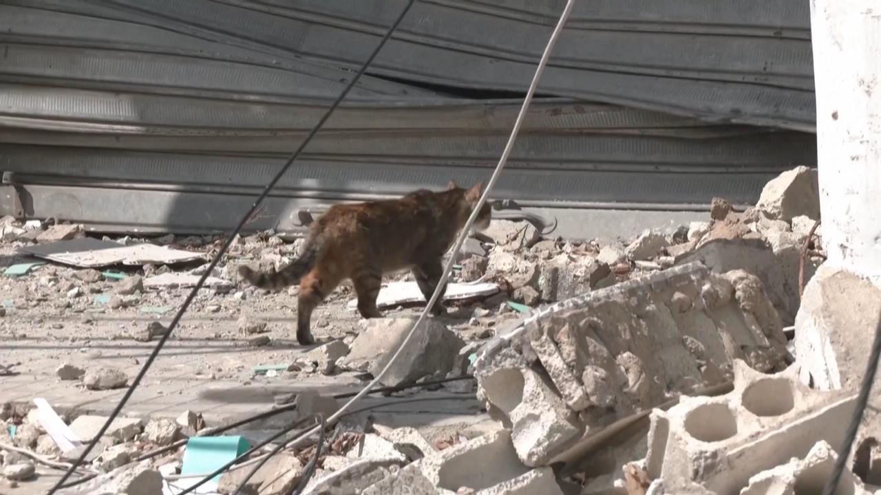 以色列、黎巴嫩將談判 納坦雅胡強調「沒停火打算」