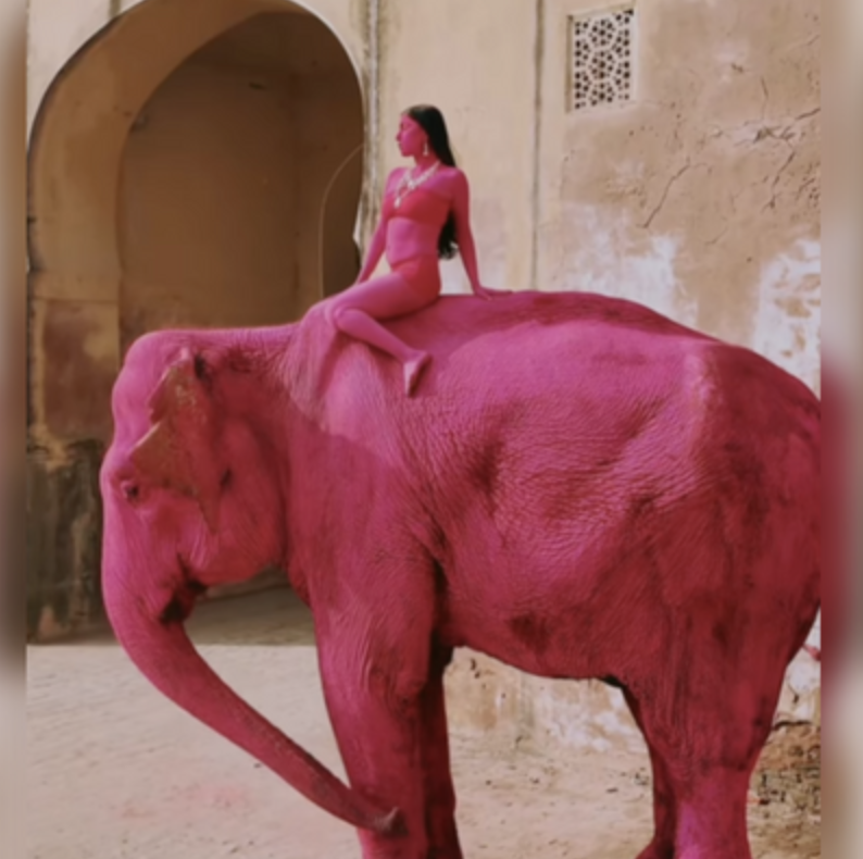 大象被塗滿粉紅顏料亡!俄攝影師為拍時尚大片引眾怒
