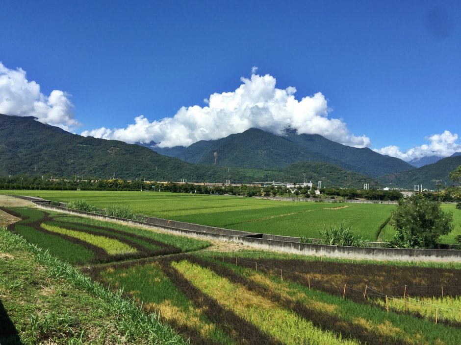 2022穀稻秋聲 | 富里山谷草地音樂節　到花蓮體驗「富里生活式」