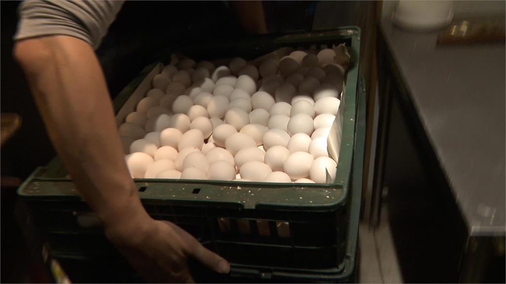 雞蛋批發價漲至每台斤55元　農委會：3月底前進口500萬顆穩定需求