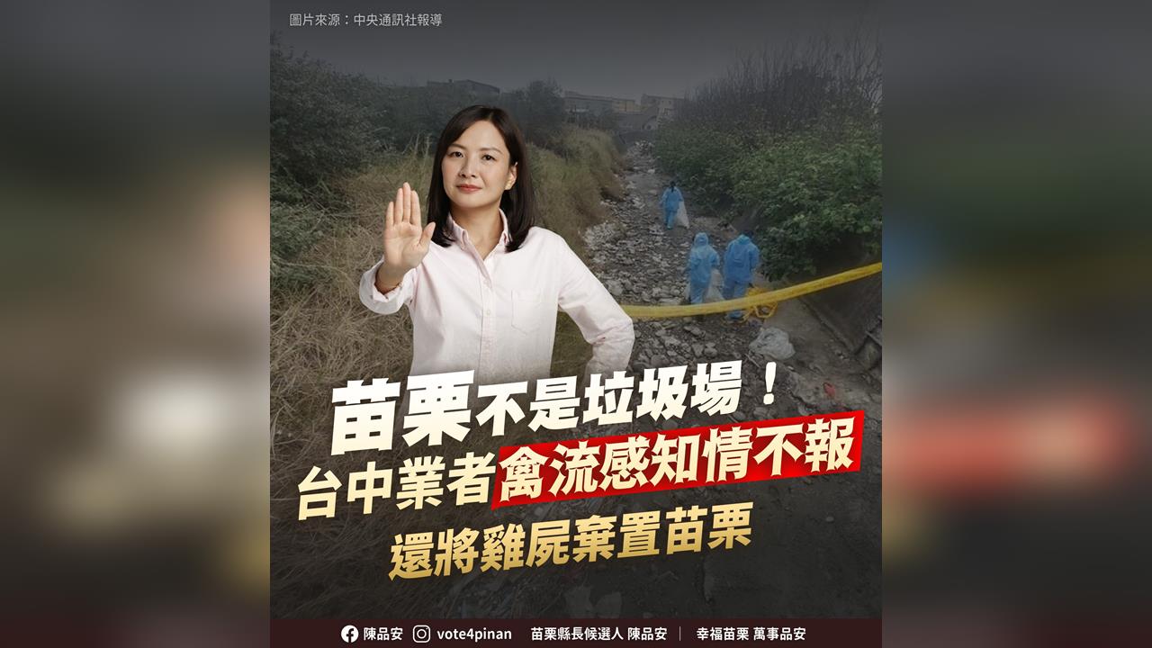 快新聞／禽流感雞隻、蛋流入苗栗　陳品安痛批台中市府「疏於管理」