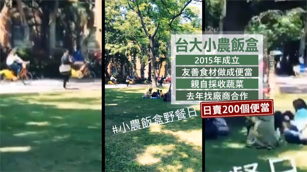 台大小農飯盒突歇業 合作商失望嘆「不守諾」