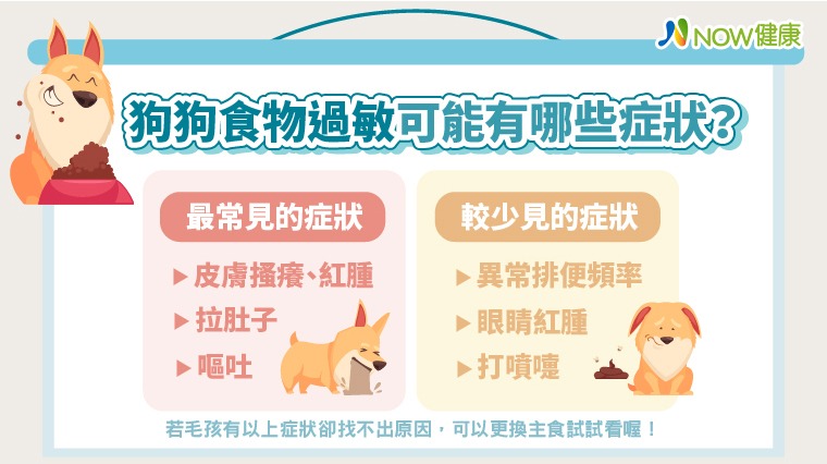毛寶貝食物過敏典型與非典型症狀 1張圖幫飼主搞清楚