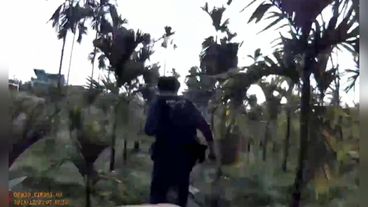 不是拍警匪片！詐欺主嫌逃入竹林　空拍機跟監蒐證陸空夾擊逮人