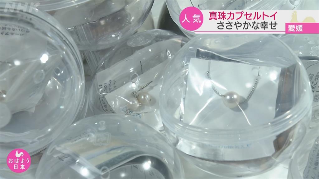 「珍珠扭蛋機」抽飾品！ 日本宇和島推養殖珍珠