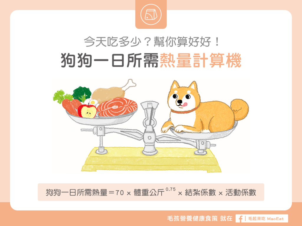 【汪喵餵養知識】狗狗一日所需熱量計算機～吃多吃少幫你算好好！