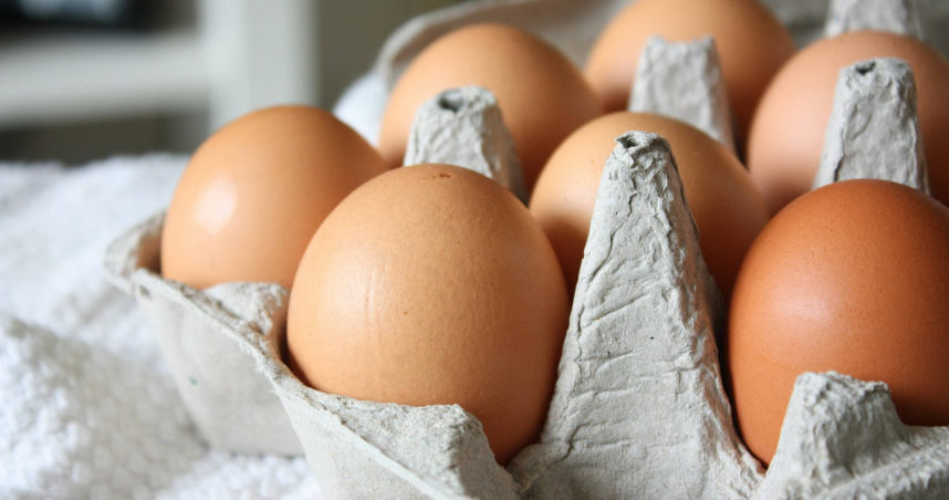 生雞蛋會導致禿頭？一天只能吃1顆？　營養師揭3大迷思