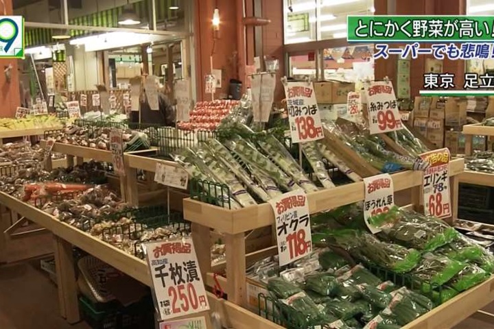 菜價高漲怎維持健康？ 日本家庭主婦有妙方