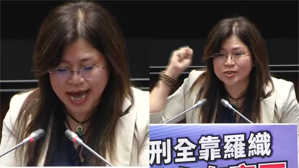 麥玉珍立院挺阿北!喊司法正義下秒脫口「稱柯文哲前總統」網看傻:哪個時空