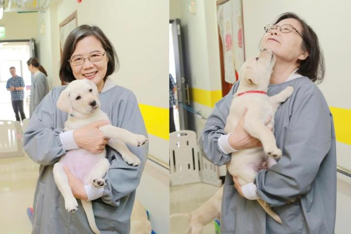 蔡英文訪導盲犬學校暖喊「小狗最可愛」！不忘呼籲遵守「四不一問」