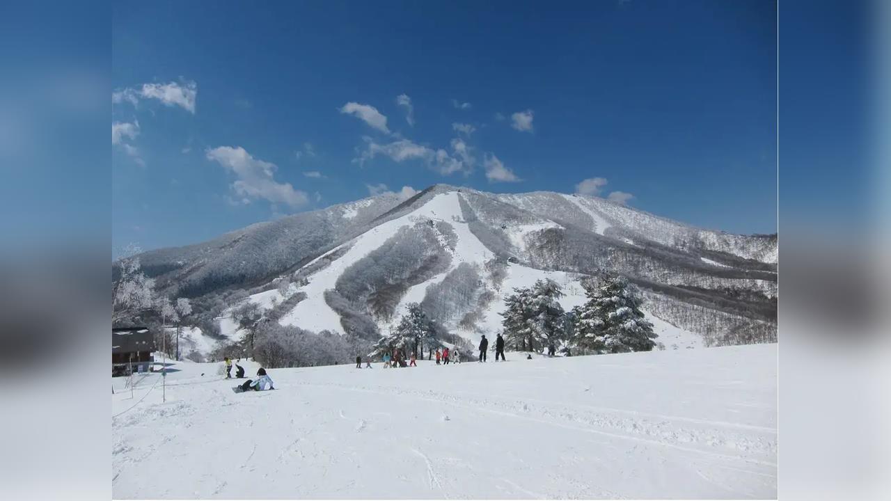 日本斑尾高原滑雪場驚傳雪崩　５人一度遭活埋「含２名台灣旅客」