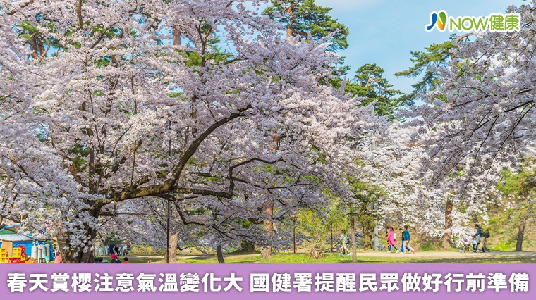 春天賞櫻注意氣溫變化大　國健署提醒民眾做好行前準備