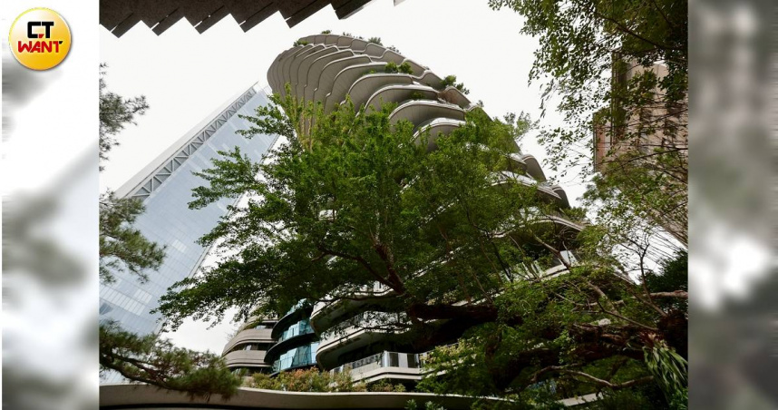 豪宅買氣慘1／「哥吉拉」甦醒半價搶市咬冠軍　億元豪宅交易卻大減4成