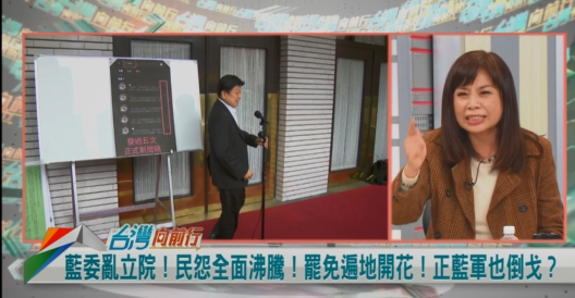 向前行(影)／藍稱罷免勞民傷財！余莓莓反問：綠立院執政時有遍地烽火？