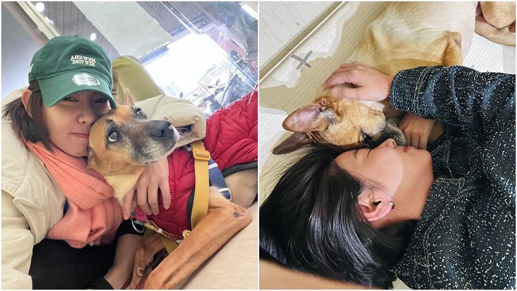 愛犬「錢錢」罹癌壽命僅剩幾個月！　米可白崩潰落淚：你要等媽媽