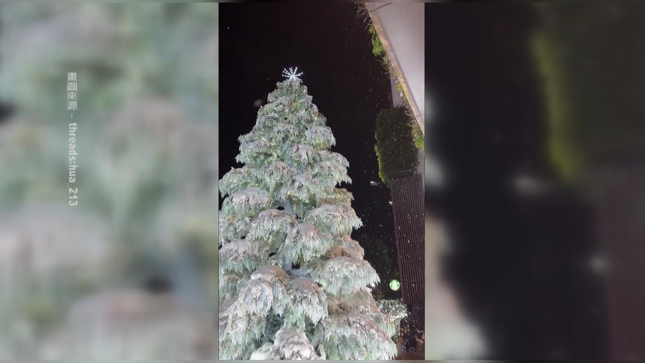 小恐龍穿新衣！台中市交通局攜手科博館　行人號誌換上耶誕裝