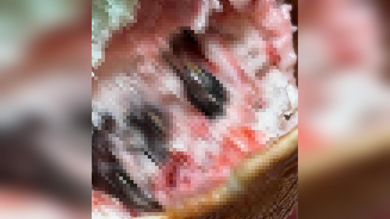 快新聞／真的會吐！中山誠品冰淇淋驚傳「內含多隻碩大蟲蟲」　噁心畫面曝光