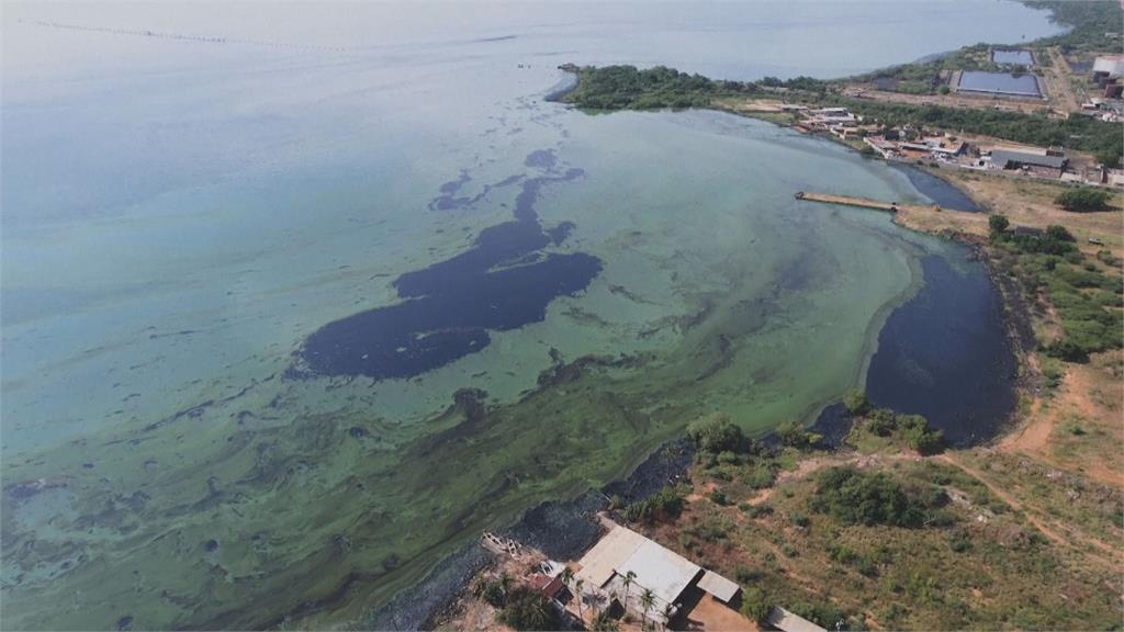 拉丁美洲最大湖泊遭污染　民團發起「剪髮救湖泊」
