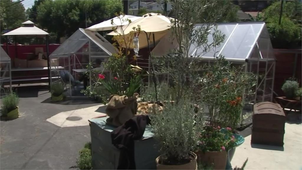 加州禁止餐廳內用餐 當地餐廳推停車場「溫室包廂」