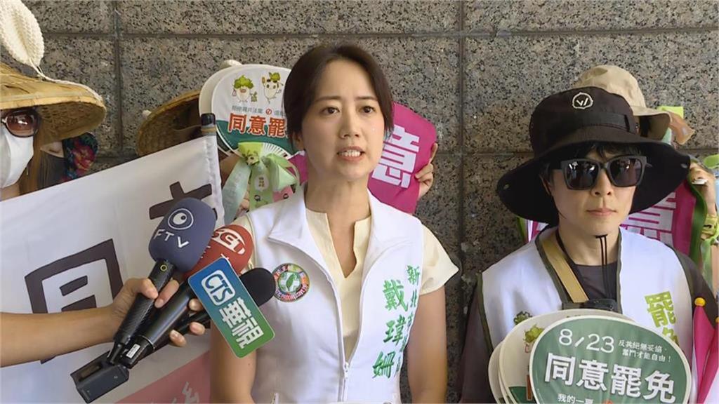 快新聞/翁曉玲駁國家公園「全面禁設光電」 戴瑋姍曝隱憂:沒那麼簡單!