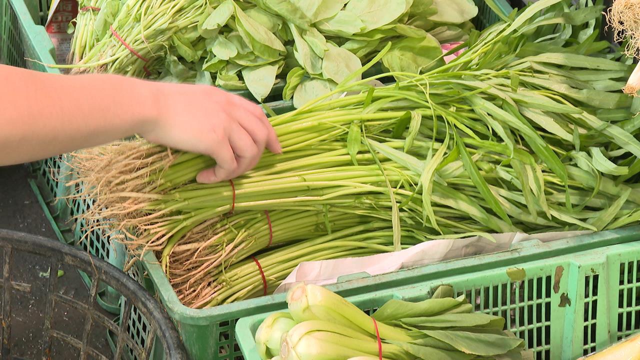 強颱樺加沙來襲! 市場湧採買潮 三星蔥農老神在在