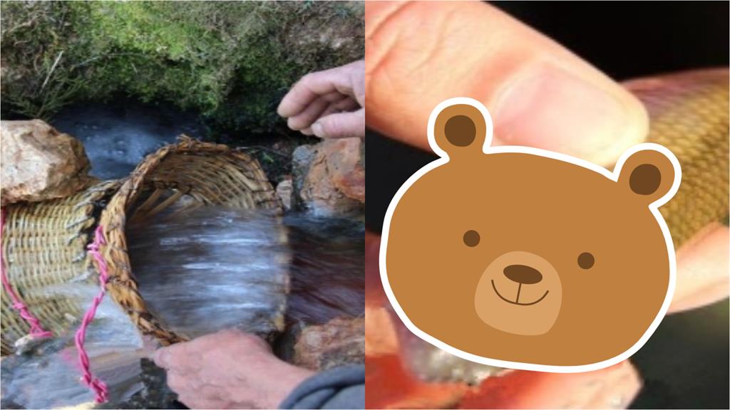 中國湖北洞穴年年「吐魚」萬斤　村民狂撈「瀕危物種」專家氣炸！