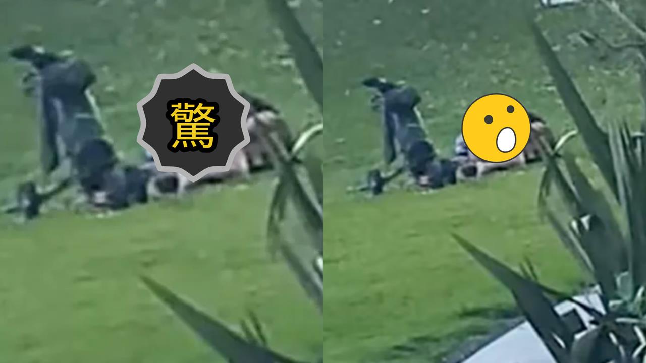 女子慢跑驚見情侶「16洞果嶺上交纏」！野外激戰畫面流出…網笑：一桿進洞