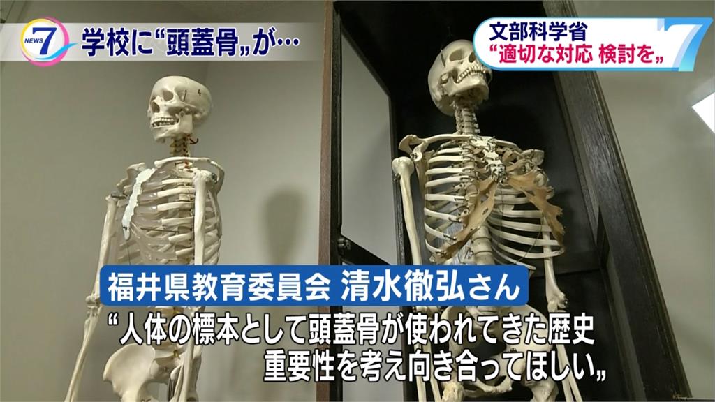 這不是傳說！日本校園人骨模型是真人骨頭