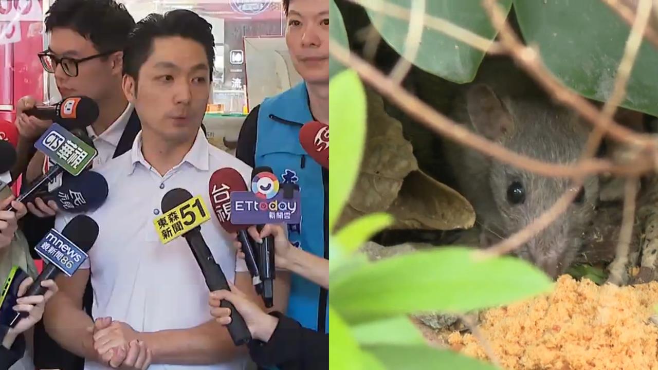「台北變米奇樂園」蔣萬安猛被批！莊瑞雄親揭「56年前全台1招狂滅」：切尾巴可以…