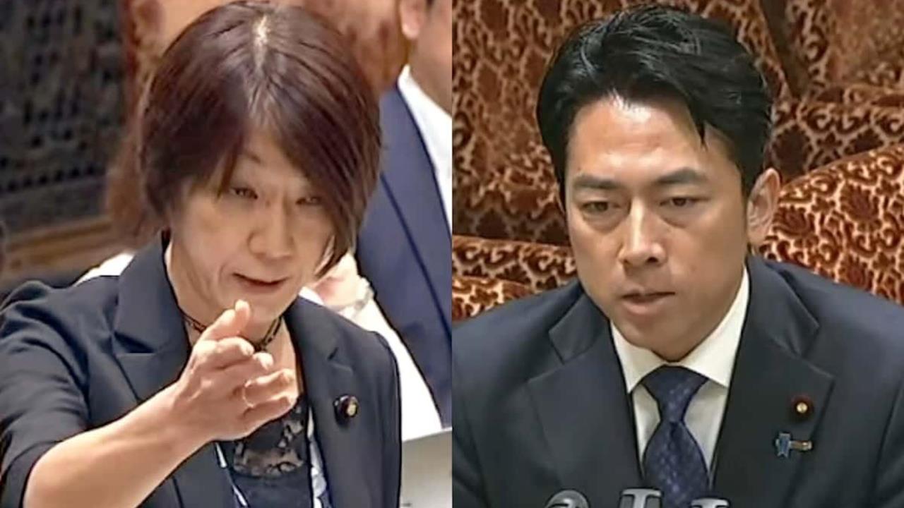 日議員為中國說好話！遭小泉進次郎回懟「當場道歉認錯」：發言先撤回