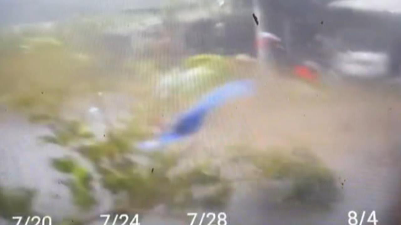 龍捲風襲淡水！果樹連根拔起、民宅受損　屋主修繕費用至少數十萬