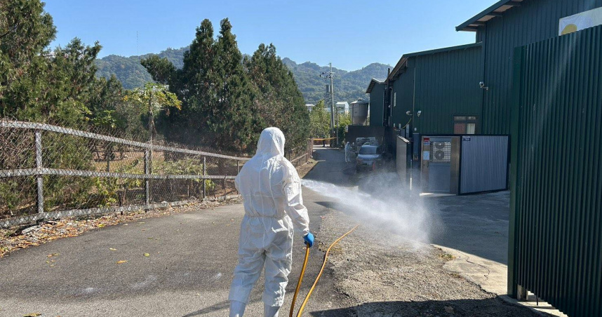 禽流感入侵豐原蛋雞場「7千隻雞急撲殺」　業者私自掩埋恐罰百萬