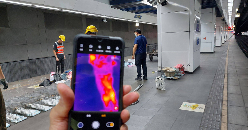 15歲喵星人松山車站逃走中！動保處出動熱像儀救援　逾2週仍未尋獲