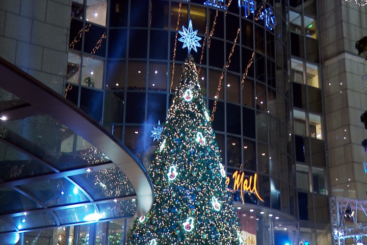 飯店點亮戶外耶誕樹 閃亮燈飾造景超吸睛