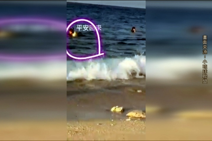 太惡劣！浮潛客隨意抓起綠蠵龜把玩 最高可罰30萬元