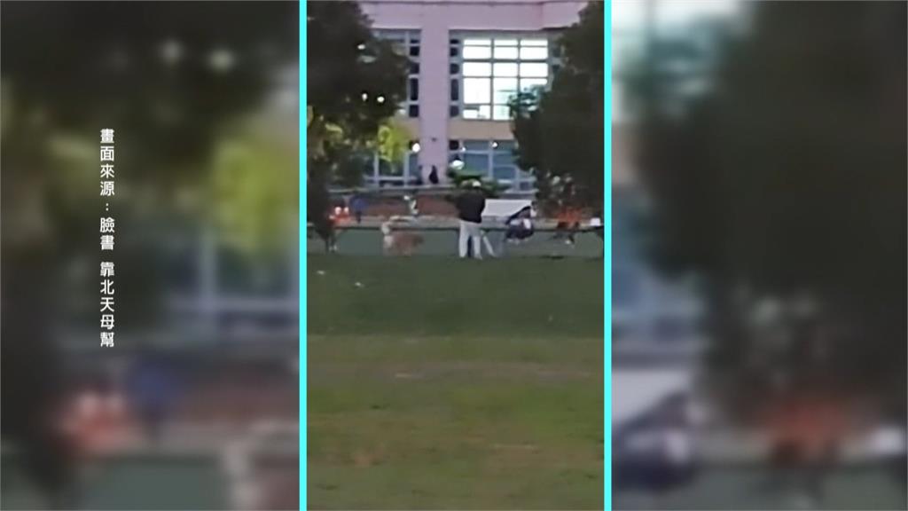 比特犬事件翻版？天母公園民眾遛狗「沒牽繩」　周邊人犬遭攻擊