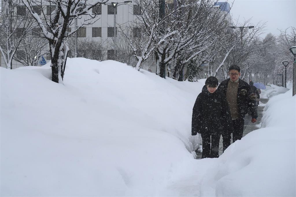 日本青森「降雪量」創史上新高　蘋果園災情嚴重、果農欲哭無淚
