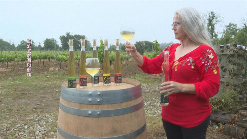 愛爾蘭釀酒商受惠氣候暖化！　葡萄酒品質更佳