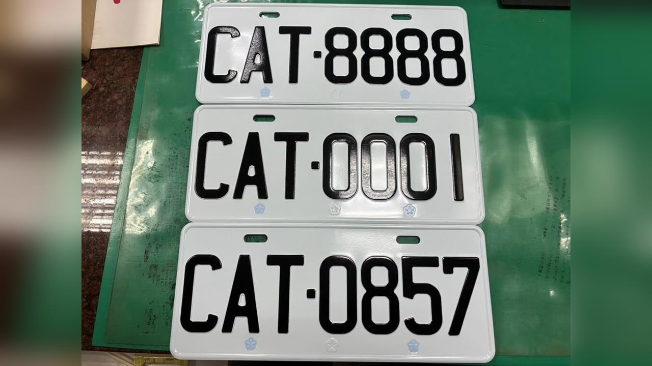 快新聞／貓奴夢幻車牌「CAT8888」搶翻天　競標拍出57.6萬