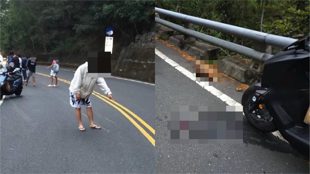 快新聞/野生動物突竄出害機車騎士慘摔 「牠」挨撞當場死亡