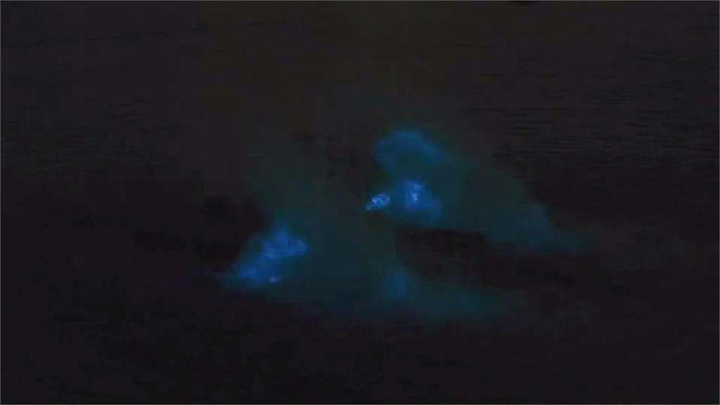 夜光蟲進魚塭 水車打水出現藍眼淚