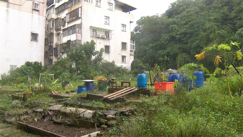 「市」外桃源？走路5分鐘到捷運站的菜園　建商用「這價格」買走