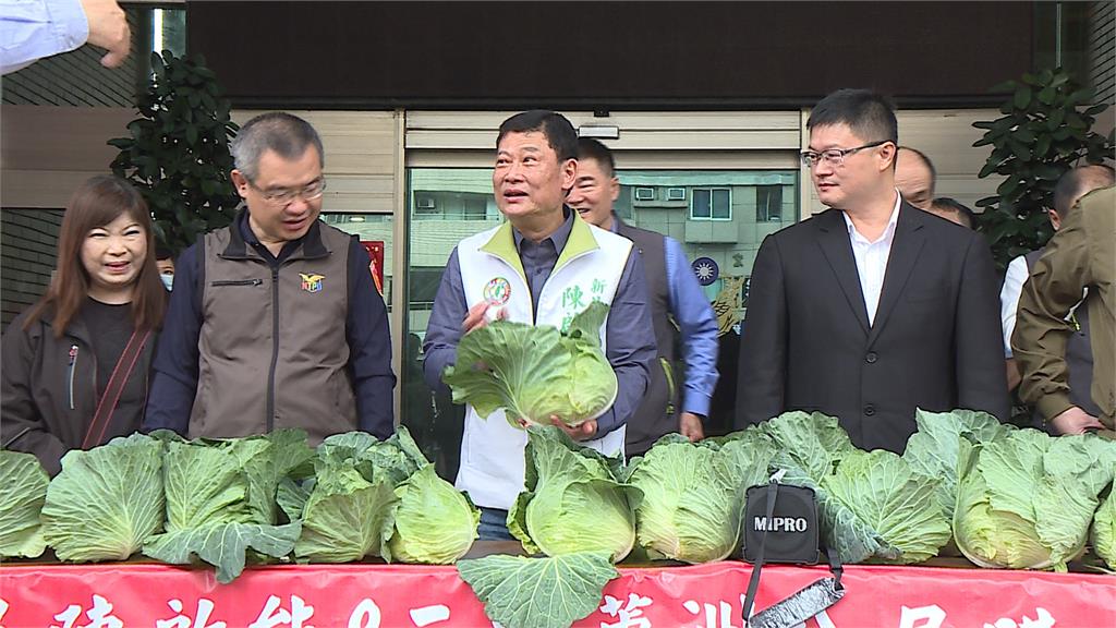 高麗菜價崩跌！　議員攜手新北警合購3500顆免費發送
