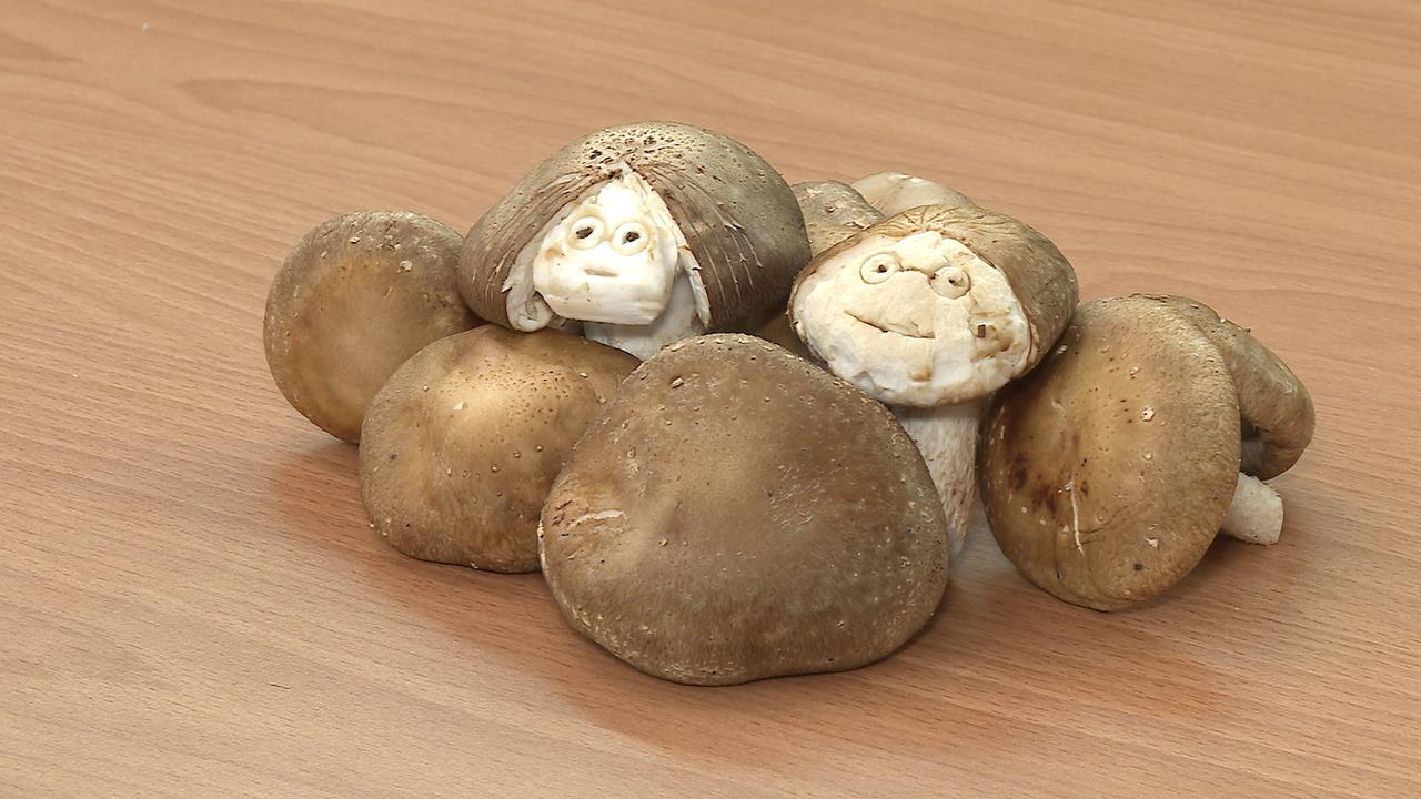 香菇變小英掀風潮！　蔡英文自辦「小英菇雕刻賽」