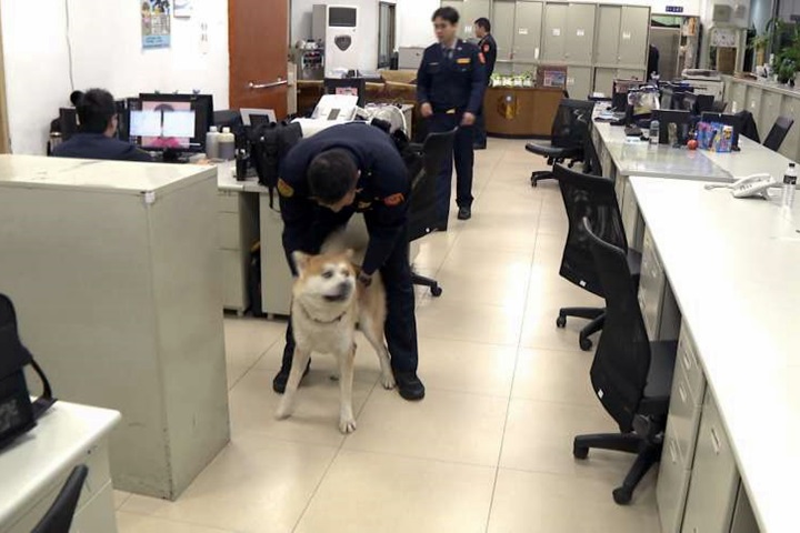 所犬黑輪度假太「巧合」 派出所：無關禁養令