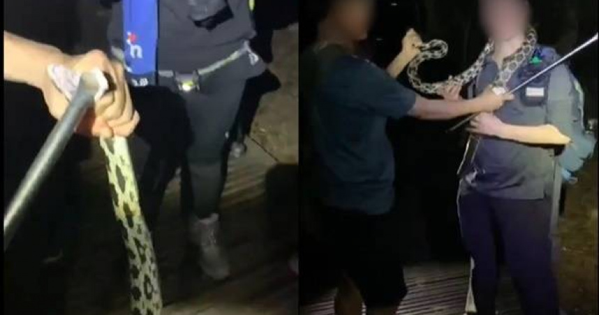 三級保育類遭登山杖捅喉！友人狂拍笑喊「摸一下」　掛頸嬉鬧當圍脖惹議