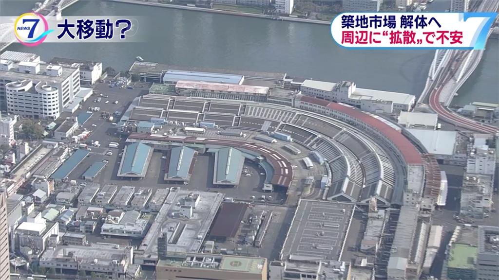 築地市場搬家 大批老鼠恐上演大遷徙