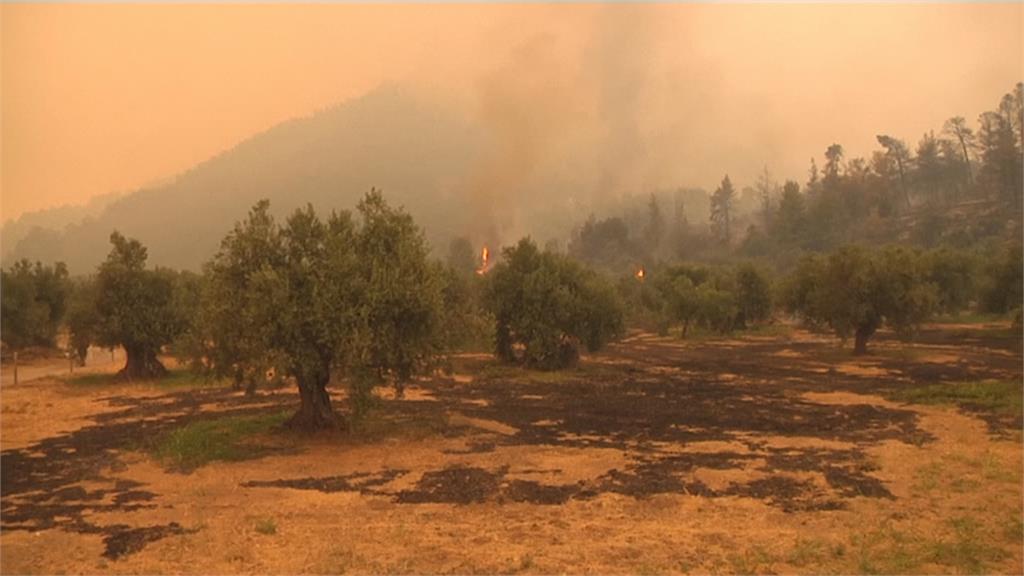 土耳其8天近200起森林野火　電廠危在旦夕　打火弟兄累到飆淚
