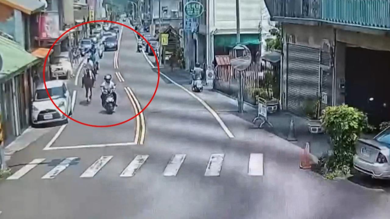 驚險！南庄山區驚見馬匹路上跑　騎士險遭飛踹