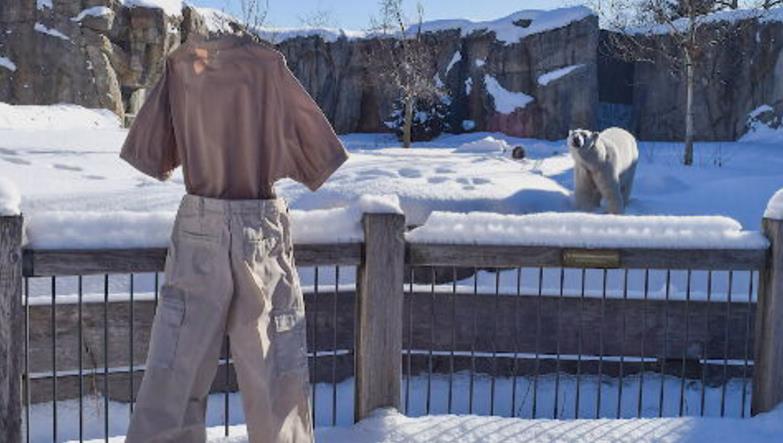 冰天雪地大玩創意　美「急凍長褲」上演動物園歷險記